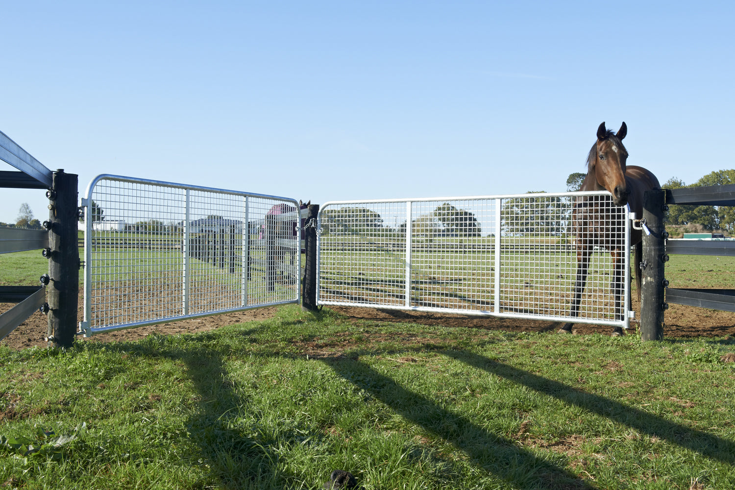 Horse Safe Gates